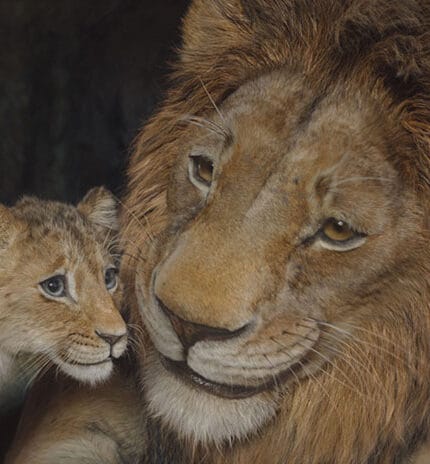 Barry Jenkins and the ‘Mufasa’ Cast Explain Why You Should Take Your Family to See