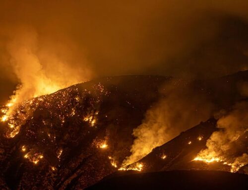 The Truth Behind California Wildfire Misinformation 